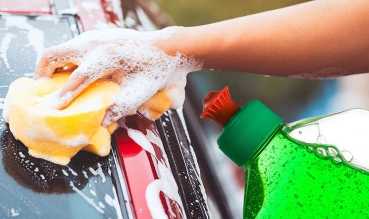 Find Your Car Shampoo in the Best Way
