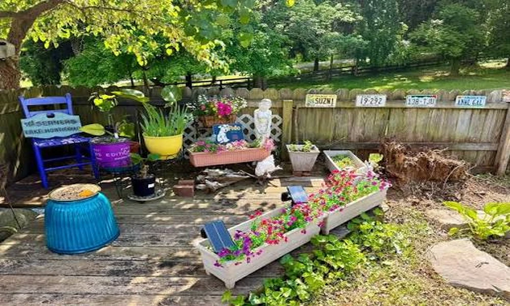 What to Know Before Choosing License Plates for Sale for Covered Porch Decor
